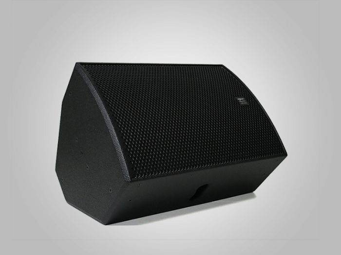 ZSOUND CP15 15-дюймовый 2-полосный полнодиапазонный динамик