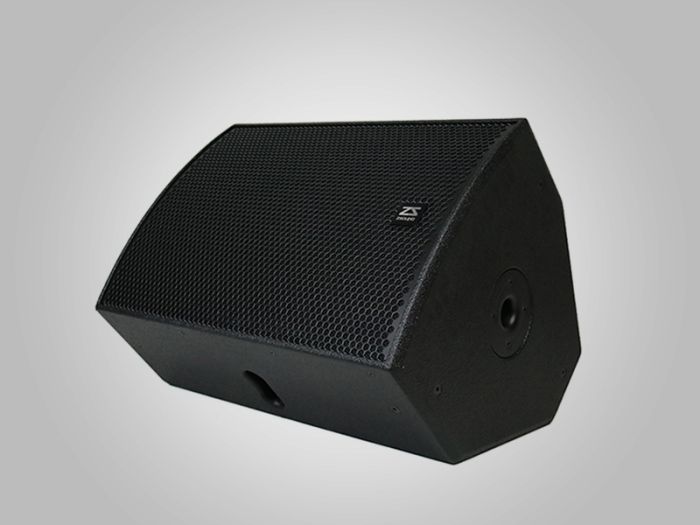 ZSOUND CP15 15-дюймовый 2-полосный полнодиапазонный динамик