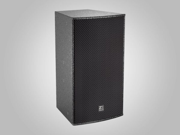 ZSOUND U10 10-дюймовый пассивный колонка