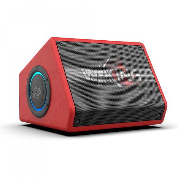 W-KING K40 Портативная колонка с микрофоном W-KING K40 Портативная колонка с микрофоном