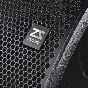 ZSOUND M12 12-дюймовый 2-полосный сценический монитор