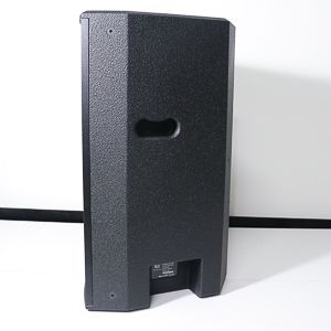 ZSOUND M12 12-дюймовый 2-полосный сценический монитор