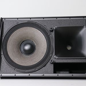 ZSOUND M15 15-дюймовый 2-полосный сценический монитор