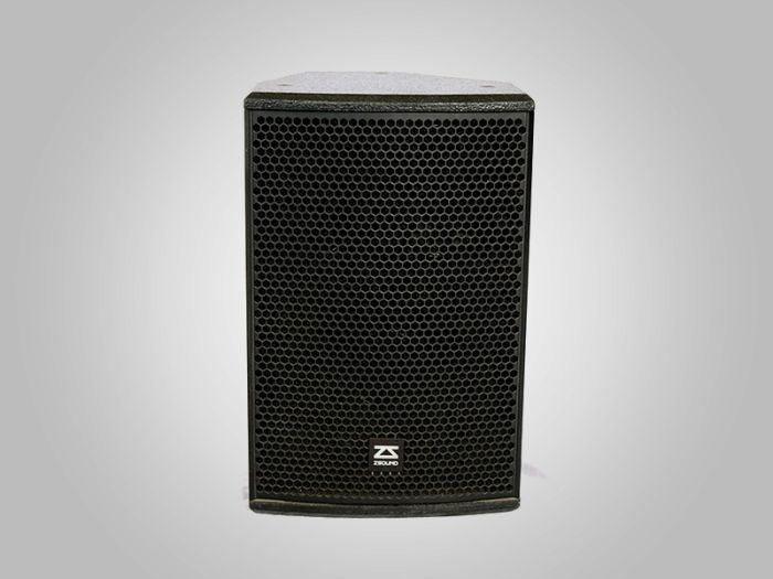 ZSOUND P10 1*10-дюймовый широполосный пассивный колонка