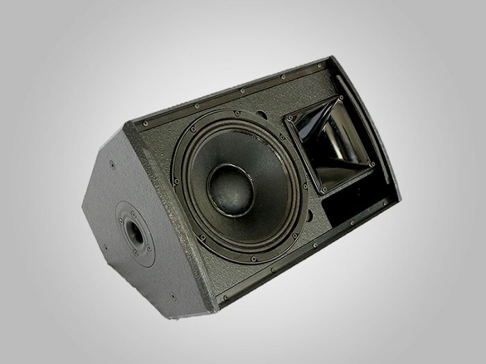 ZSOUND P10 1*10-дюймовый широполосный пассивный колонка