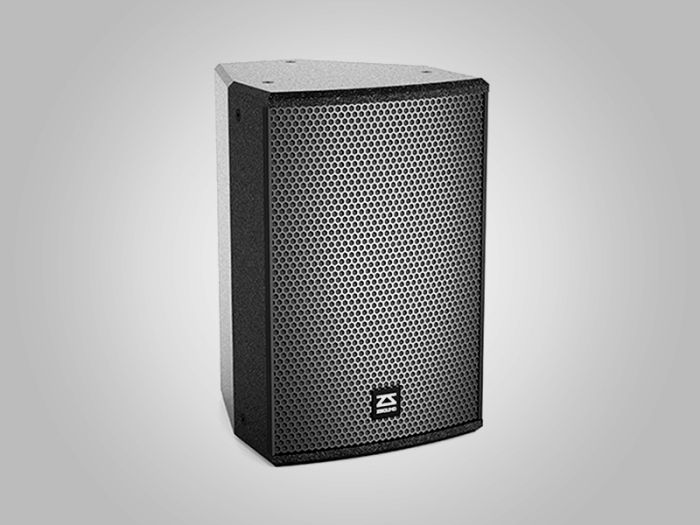 ZSOUND P10 1*10-дюймовый широполосный пассивный колонка