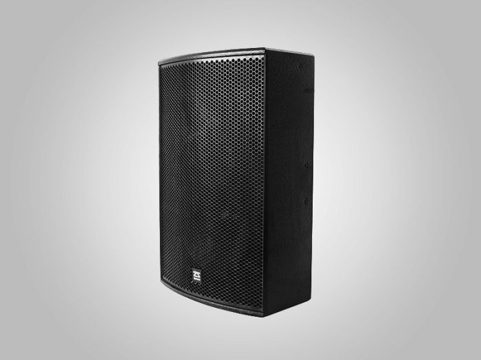 ZSOUND P15 1*15-дюймовый / широкополосный пассивный колонка